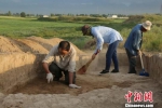 考古队开展工作。陕西省文物局供图 - 陕西新闻