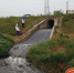 灞河蓝田华胥段大量黑臭水直排河道 原来是污水处理厂在直排 - 西安网