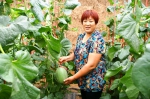 高陵职业农民雷巧珍和她的甜“蜜”事业 - 西安网