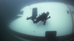 潜水员巴林探索沉没海底的波音747 为主题公园新项目 - 西安网