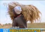 中非农业合作 中国杂交水稻在非洲创高产纪录 - 西安网
