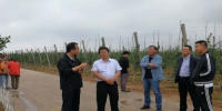 渭南市农机局开展“3+X”特色产业机械化专题调研 - 农业机械化信息