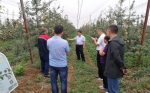 渭南市农机局开展扫黑除恶专项行动 - 农业机械化信息