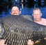 英男子与巨型鲤鱼搏斗近80分钟将其捕获 打破世界纪录 - 西安网