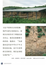 “良渚古城”申遗成功 习近平和它还有一段故事 - 西安网
