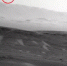 飞翔的鸟？“好奇号”拍下火星上空不明物体 - 西安网