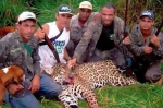 巴西7人非法偷猎团伙落网 一男子累计杀害1000只美洲虎 - 西安网