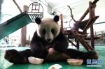 （社会）（1）上海：动物园里的“清凉夏日” - 西安网