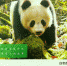 白忠德生态散文集《大熊猫 我的秦岭邻居》首发 - 西安网