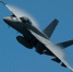 美海军F/A-18E战机坠入公园 致7名游客受伤 - 西安网