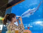 酷暑天来曲江海洋公园享清凉 海底餐厅千杯果饮免费畅饮 - 西安网