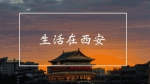 《中国诗词大会》冠军陈更 为西安文化旅游打CALL - 西安网