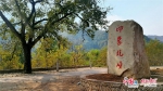 印象圪崂：一个藏在黄龙深山里的“土味”旅游村 - 西安网