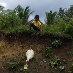 萌化人心！菲律宾一男孩鞋子掉泥里 热心鸭子帮忙捡回 - 西安网