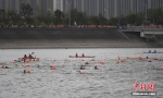 杭州两千泳士横渡钱塘江 - 西安网