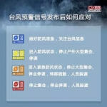 应急科普 | 台风黄色预警 附台风安全科普手册 - 西安网