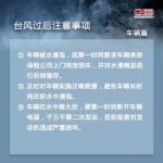 应急科普 | 台风黄色预警 附台风安全科普手册 - 西安网