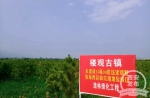王浩书记调研秦岭生态环境保护工作：切实做到“三个到位” - 西安网