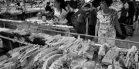 国家统计局陕西调查总队：生猪价格有望稳定 - 西安网