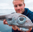 挪威男捕获恐怖怪鱼，长诡异大眼似外星人，长得丑但比鳕鱼还好吃 - 西安网