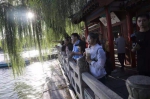 杨柳依依 青瓦朱门 全国融媒记者大明湖畔找寻童年记忆 - 西安网