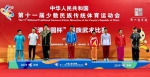 陕西代表团参加第十一届全国少数民族传统体育运动会综述 - 民族宗教局