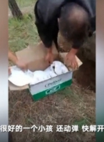村民采蘑菇发现男婴被埋地下 警方:未确认父母信息 - 西安网