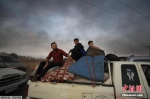 近1700名叙利亚库尔德人为避战火逃至伊拉克 - 西安网