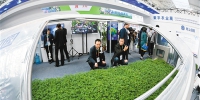 聚焦第26届杨凌农高会：看5G如何助力现代科技农业 - 西安网