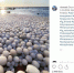 酷似一堆蛋！奇特冰球铺满芬兰海滩吸引游客 - 西安网