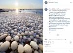 酷似一堆蛋！奇特冰球铺满芬兰海滩吸引游客 - 西安网