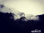 玉龙雪山核心区是长江上游最重要的生态屏障。（何川/摄） - 西安网