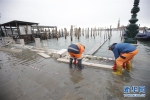 （国际）（1）意大利“水城”威尼斯遭遇严重水灾 - 西安网