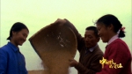 《中国粮的奇迹》第一集丨北大荒拓荒、盐碱地改造......“中国碗”装满“中国粮”！ - 西安网