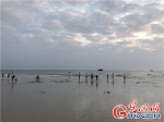 【美丽中国·网络媒体生态文明行】广西北海：滨海之都与水共“舞” - 西安网