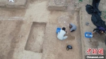 发掘现场。陕西省考古研究院 - 陕西新闻