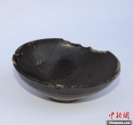 出土器物。陕西省考古研究院供图 - 陕西新闻