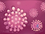新型冠状病毒 武汉两日共新确诊病例136例 国家卫健委：可防可控 - 西安网