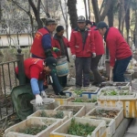 西安巩固老旧小区改造成效 净化环境卫生喜迎春节 - 西安网