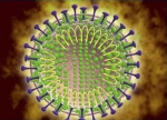 如何预防新型冠状病毒感染？这几点你应该知道 - 西安网