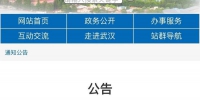 刚刚，武汉市政府向李文亮医生致敬 - 西安网