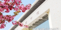 春天里的陕西 | 汉中职业技术学院：“樱”为刚好遇见你 - 西安网