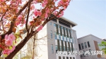 春天里的陕西 | 汉中职业技术学院：“樱”为刚好遇见你 - 西安网
