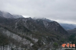 朱雀森林公园下起三月雪 山间积雪足有10厘米厚 - 西安网