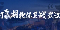 海报 | 重启，武汉——武汉各大火车站开门迎客 - 西安网