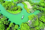 “天堂绿肺”养成记 西溪湿地：从污水横流到城市生态建设标杆 - 西安网