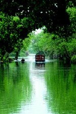 “天堂绿肺”养成记 西溪湿地：从污水横流到城市生态建设标杆 - 西安网
