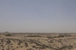 “憋屈”的毛乌素沙漠，都快水草肥美了 - 陕西新闻
