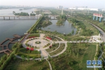 陕西咸阳：渭河之滨打造生态景区 - 西安网
