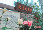 北京大观园恢复开园 - 西安网